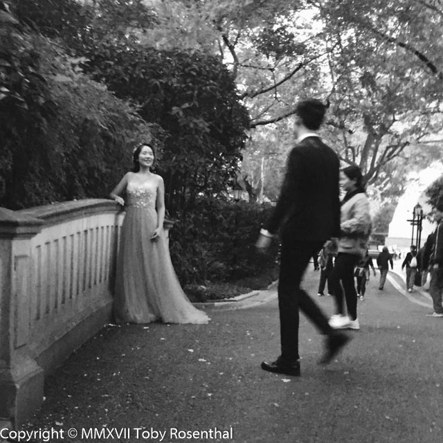 Wedding Photos Zhongshan Park Shanghai